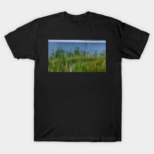 Crimson Lake. T-Shirt